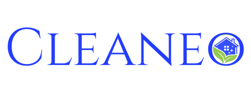 Cleaneo